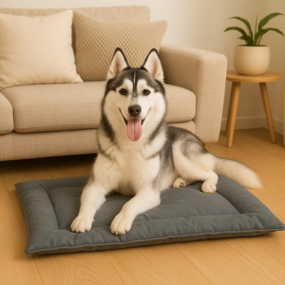 Cama Caminha Colchonete Rosa Grande 90x70cm para Cachorro e Gato de Suede Lavável Almofada Pet Macia Confortável